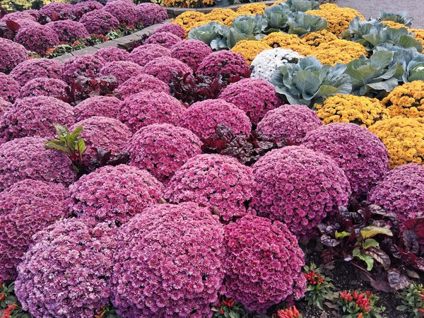 10 idées originales de centres de table pour un mariage mémorable